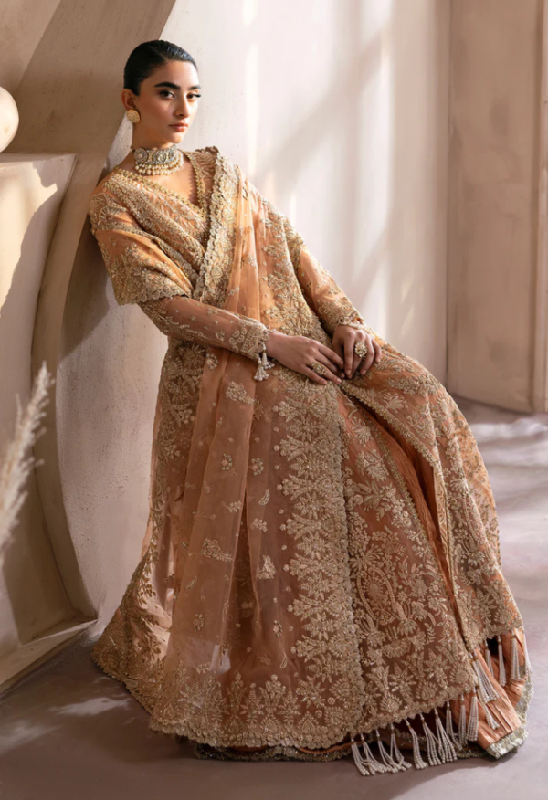 Clay & Coture by Emaan Adeel Unstitched 3 Piece Luxury Formals - Image 6